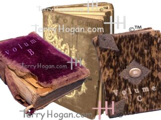 Antique Early American Photo Albums